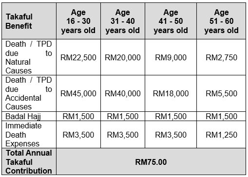 Tenang insurance